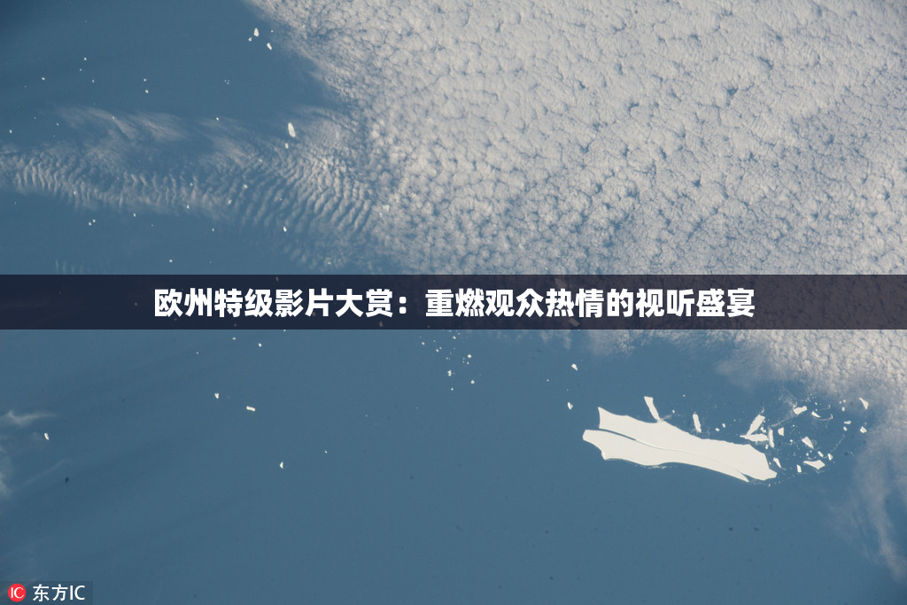 欧州特级影片大赏：重燃观众热情的视听盛宴