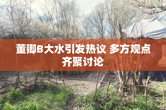 董卿B大水引发热议 多方观点齐聚讨论