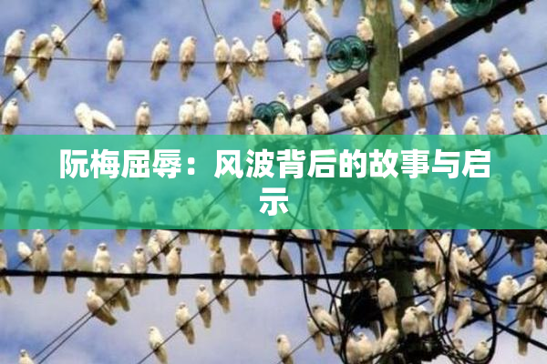 阮梅屈辱：风波背后的故事与启示