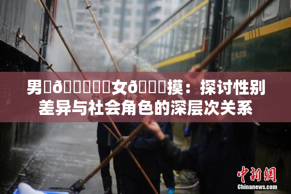 男‌🍌❌‌女🍑摸：探讨性别差异与社会角色的深层次关系