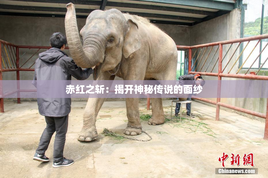 赤红之斩：揭开神秘传说的面纱
