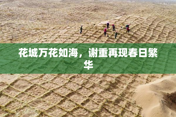 花城万花如海，谢重再现春日繁华
