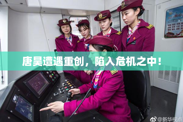 唐昊遭遇重创，陷入危机之中！