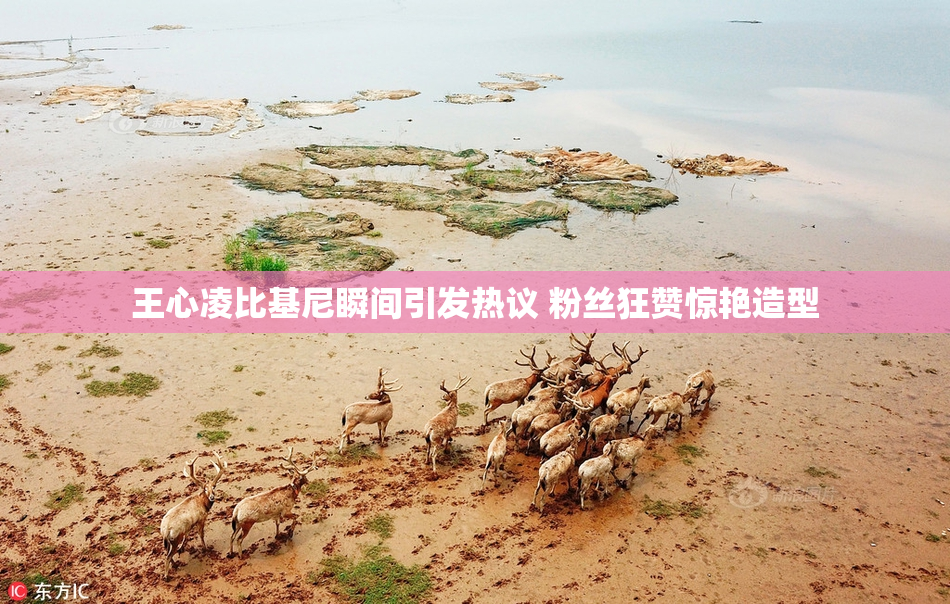 王心凌比基尼瞬间引发热议 粉丝狂赞惊艳造型