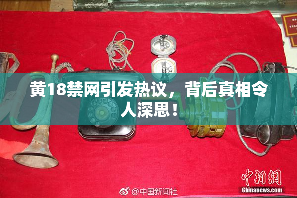 黄18禁网引发热议，背后真相令人深思！