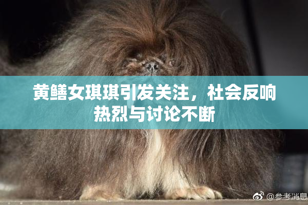 黄鳝女琪琪引发关注，社会反响热烈与讨论不断