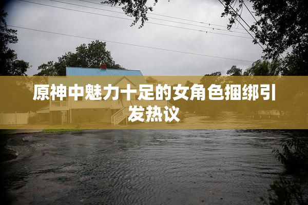原神中魅力十足的女角色捆绑引发热议