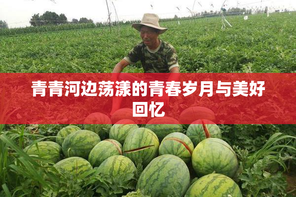 青青河边荡漾的青春岁月与美好回忆