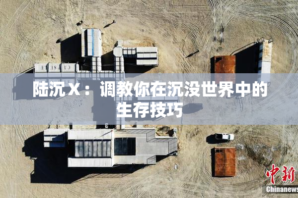 陆沉Ⅹ：调教你在沉没世界中的生存技巧