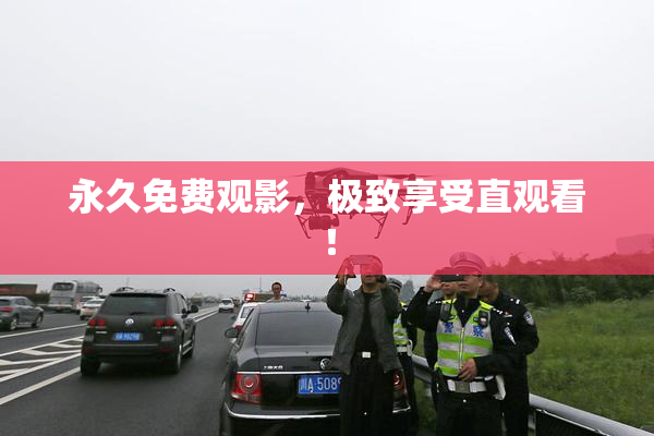 永久免费观影，极致享受直观看！