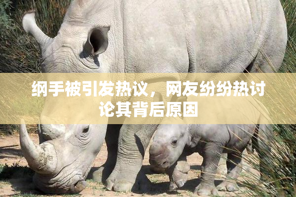 纲手被引发热议，网友纷纷热讨论其背后原因