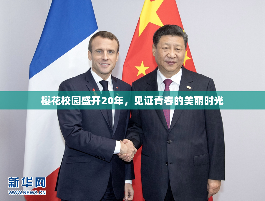 樱花校园盛开20年，见证青春的美丽时光