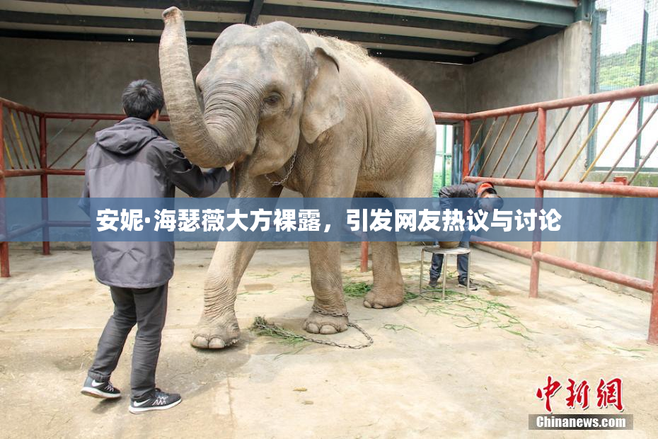 安妮·海瑟薇大方裸露，引发网友热议与讨论
