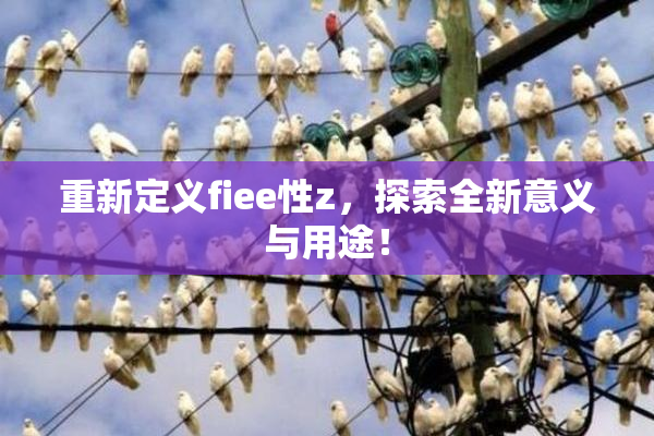 重新定义fiee性z，探索全新意义与用途！
