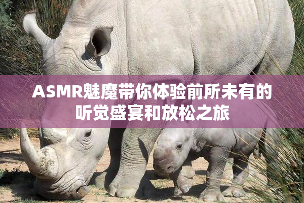 ASMR魅魔带你体验前所未有的听觉盛宴和放松之旅