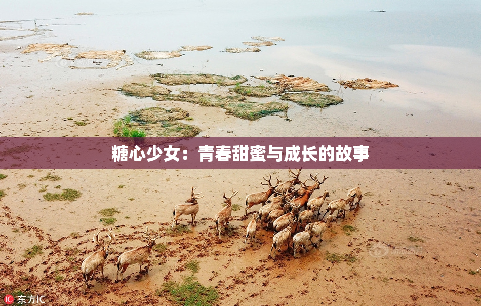 糖心少女：青春甜蜜与成长的故事