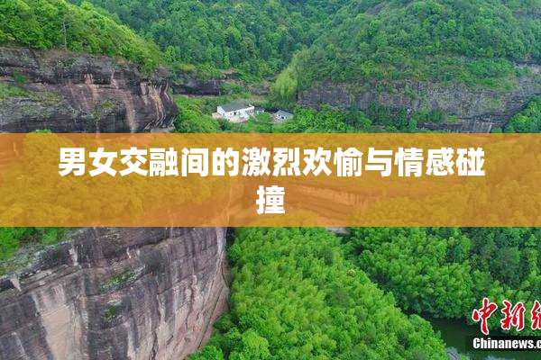 男女交融间的激烈欢愉与情感碰撞