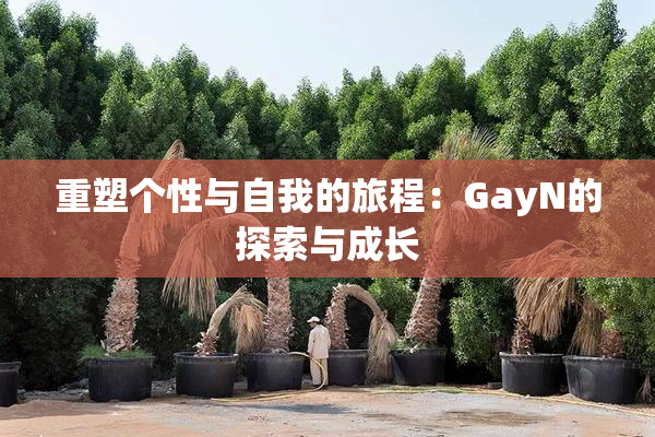 重塑个性与自我的旅程：GayN的探索与成长