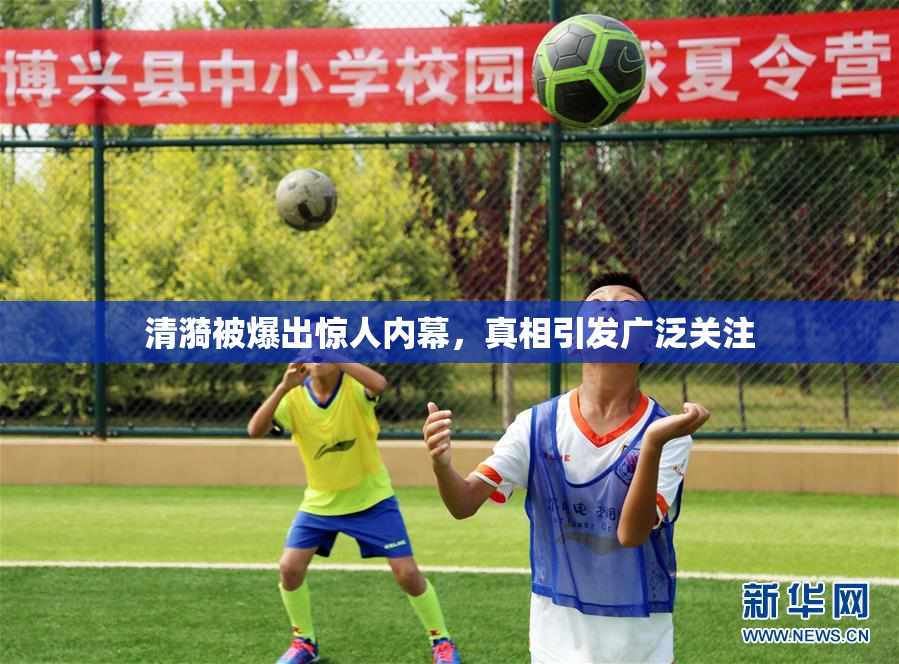 清漪被爆出惊人内幕，真相引发广泛关注