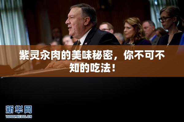 紫灵汆肉的美味秘密，你不可不知的吃法！