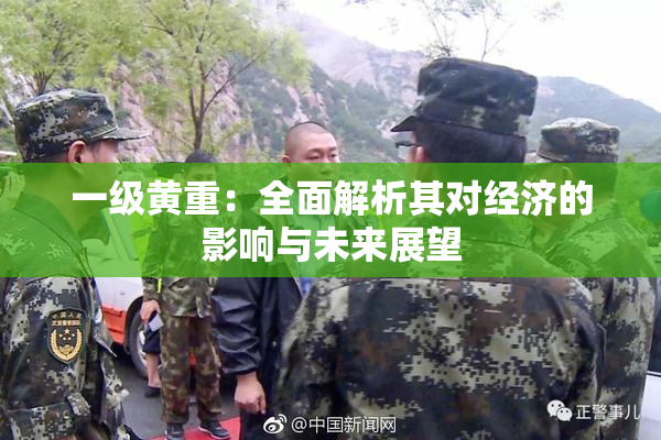 一级黄重：全面解析其对经济的影响与未来展望