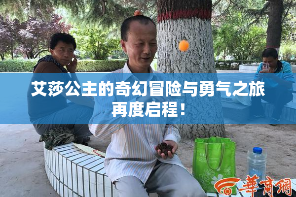 艾莎公主的奇幻冒险与勇气之旅再度启程！