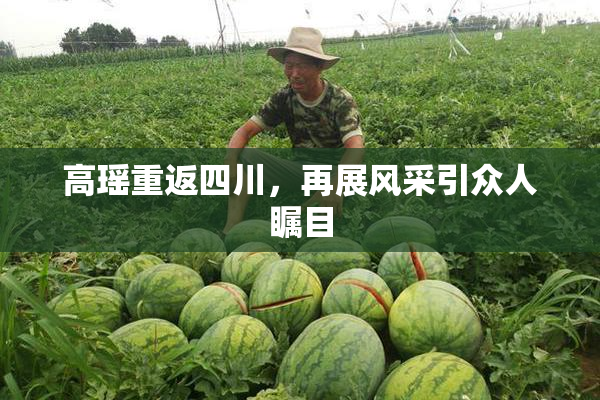 高瑶重返四川，再展风采引众人瞩目