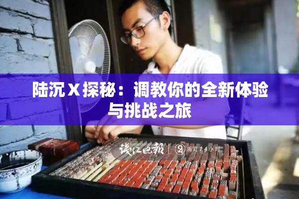 陆沉Ⅹ探秘：调教你的全新体验与挑战之旅