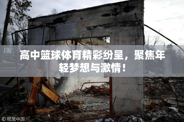 高中篮球体育精彩纷呈，聚焦年轻梦想与激情！