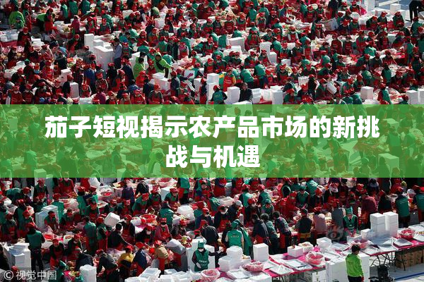 茄子短视揭示农产品市场的新挑战与机遇
