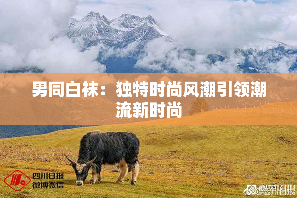 男同白袜：独特时尚风潮引领潮流新时尚