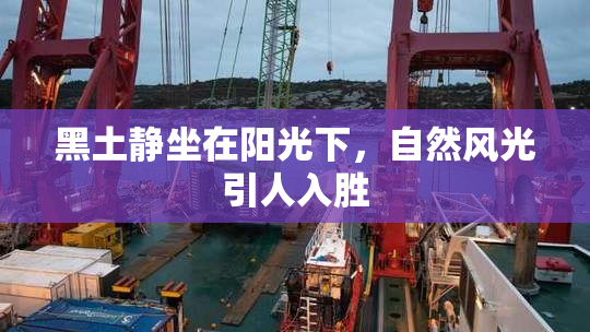 黑土静坐在阳光下，自然风光引人入胜