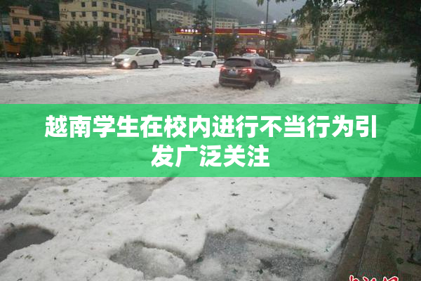 越南学生在校内进行不当行为引发广泛关注