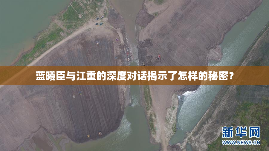 蓝曦臣与江重的深度对话揭示了怎样的秘密？