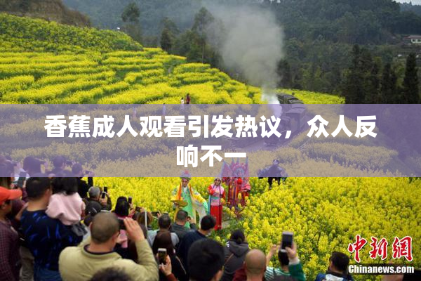 香蕉成人观看引发热议，众人反响不一