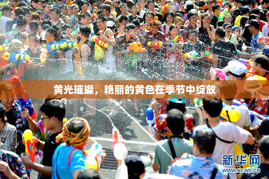 黄光璀璨，艳丽的黄色在季节中绽放