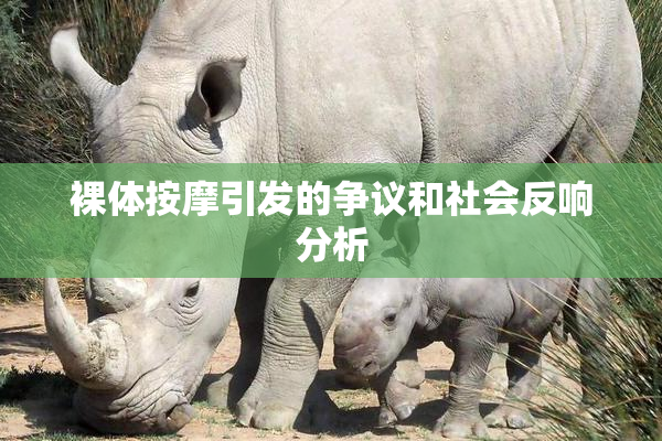 裸体按摩引发的争议和社会反响分析