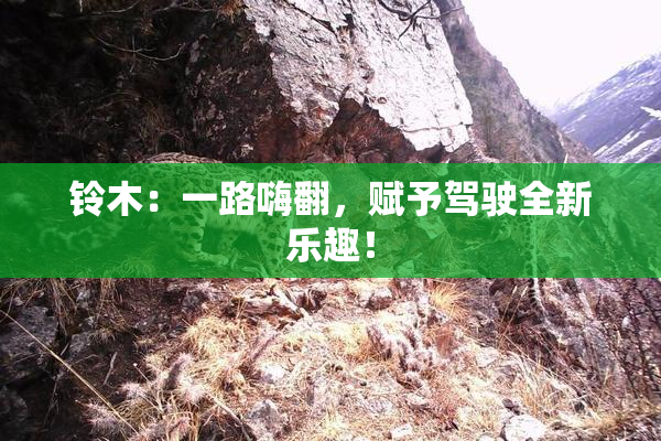 铃木：一路嗨翻，赋予驾驶全新乐趣！