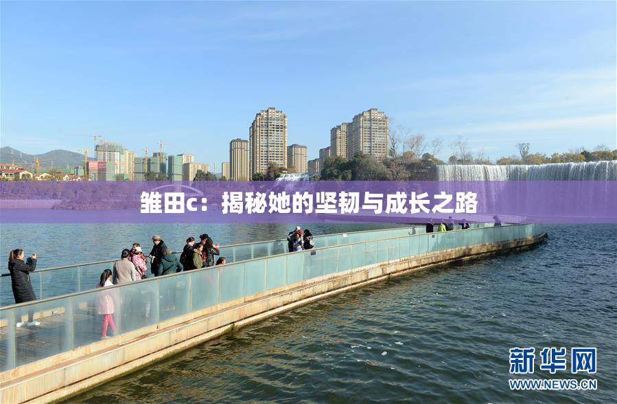 雏田c：揭秘她的坚韧与成长之路