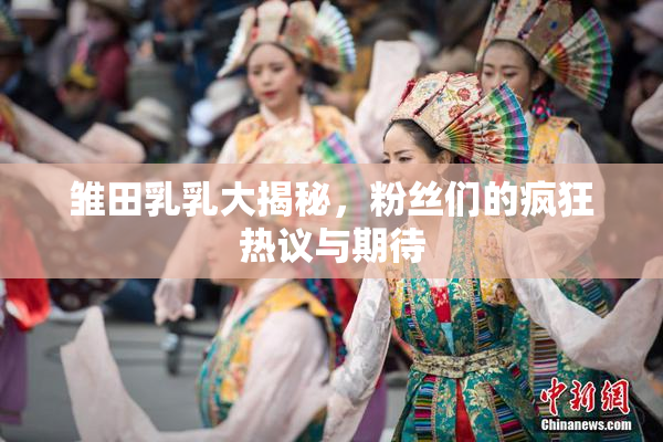 雏田乳乳大揭秘，粉丝们的疯狂热议与期待