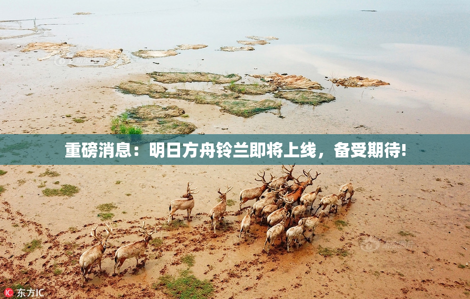 重磅消息：明日方舟铃兰即将上线，备受期待!