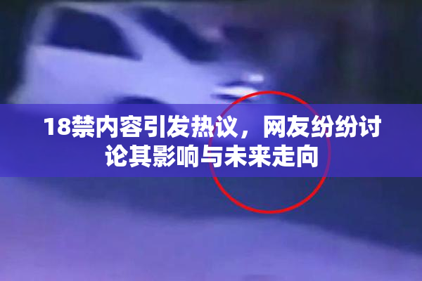 18禁内容引发热议，网友纷纷讨论其影响与未来走向