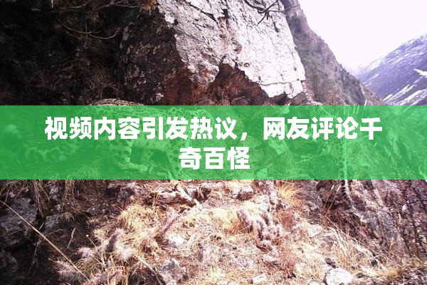 视频内容引发热议，网友评论千奇百怪