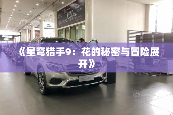 《星穹猎手9：花的秘密与冒险展开》