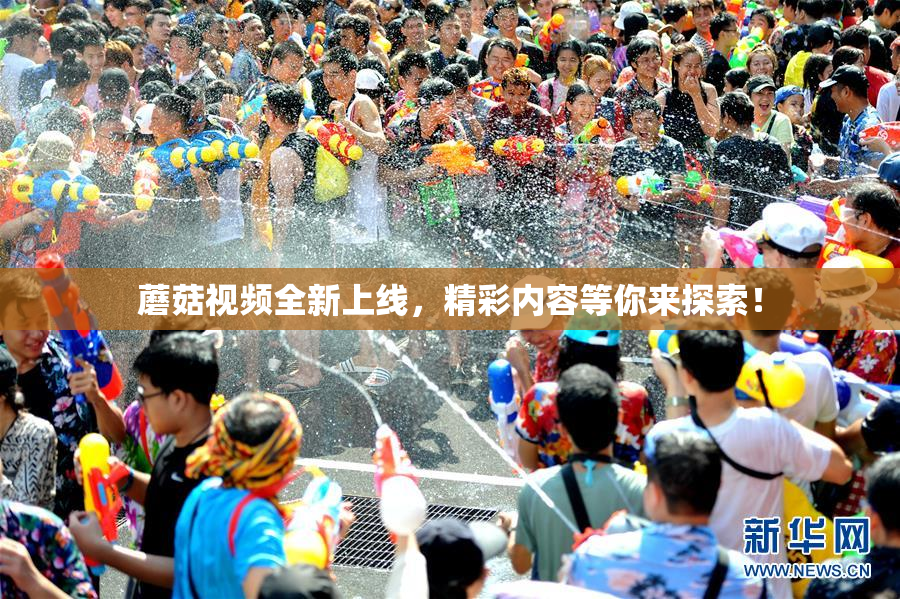 蘑菇视频全新上线，精彩内容等你来探索！