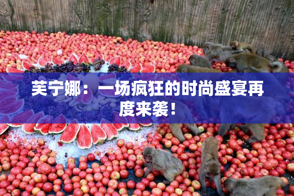 芙宁娜：一场疯狂的时尚盛宴再度来袭！