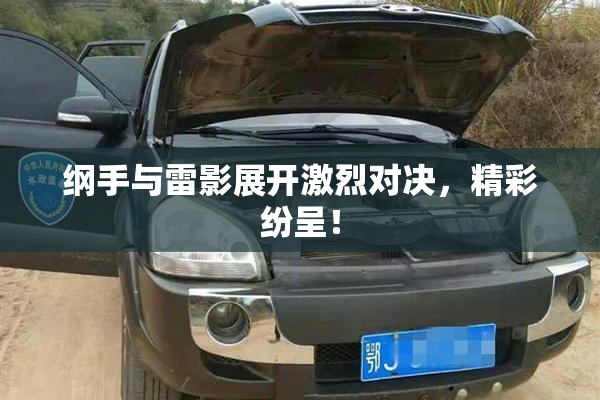 纲手与雷影展开激烈对决，精彩纷呈！