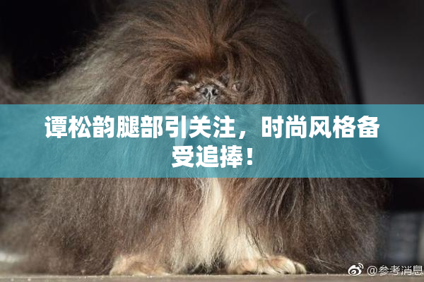 谭松韵腿部引关注，时尚风格备受追捧！
