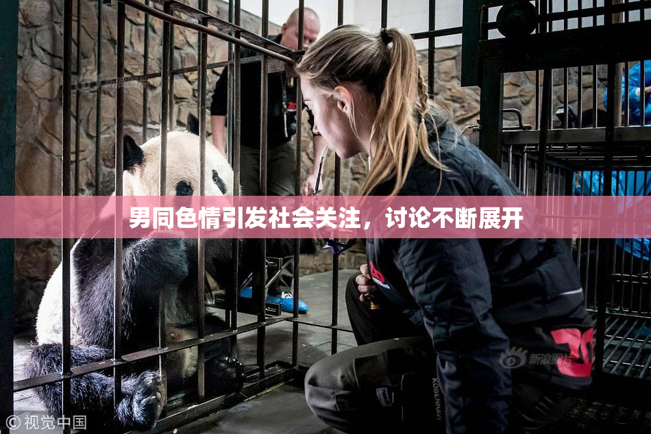 男同色情引发社会关注，讨论不断展开