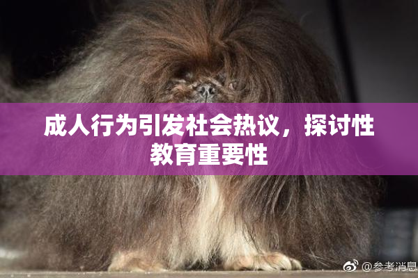 成人行为引发社会热议，探讨性教育重要性